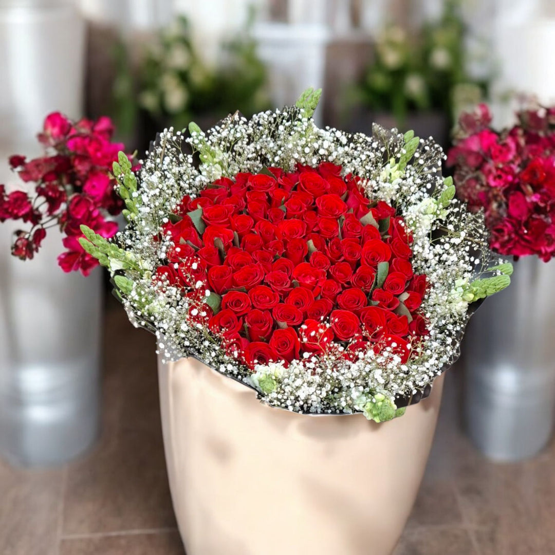 Ramo de 100 Rosas – Daphne